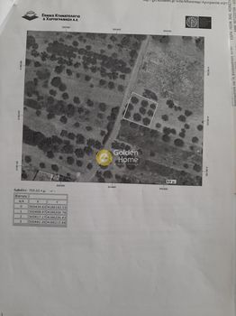 Parcel 1.920sqm for sale-Zarakas » Mitropoli