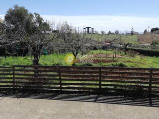 Μονοκατοικία 340 τ.μ. προς πώληση, Πολυδένδρι Αττικής-thumb-13