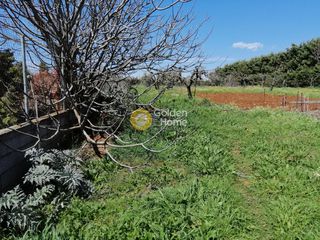 Μονοκατοικία 340 τ.μ. προς πώληση, Πολυδένδρι Αττικής-thumb-8
