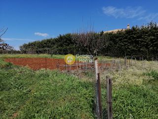 Μονοκατοικία 340 τ.μ. προς πώληση, Πολυδένδρι Αττικής-thumb-6