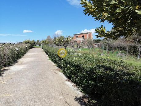 Detached home 340sqm for sale-Polidendri