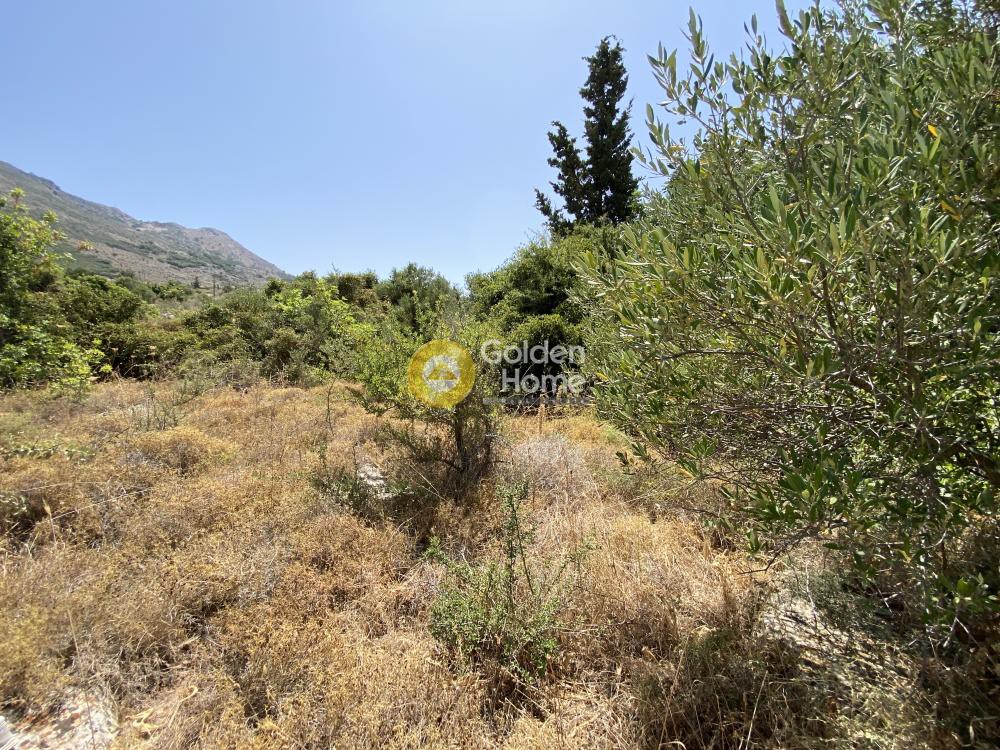 Οικόπεδο 3.587 τ.μ. προς πώληση, Καμπιά Βάμου