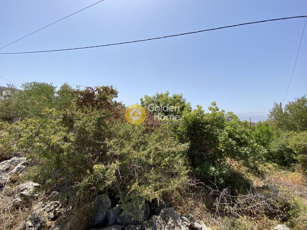 Οικόπεδο 3.587 τ.μ. προς πώληση, Καμπιά Βάμου