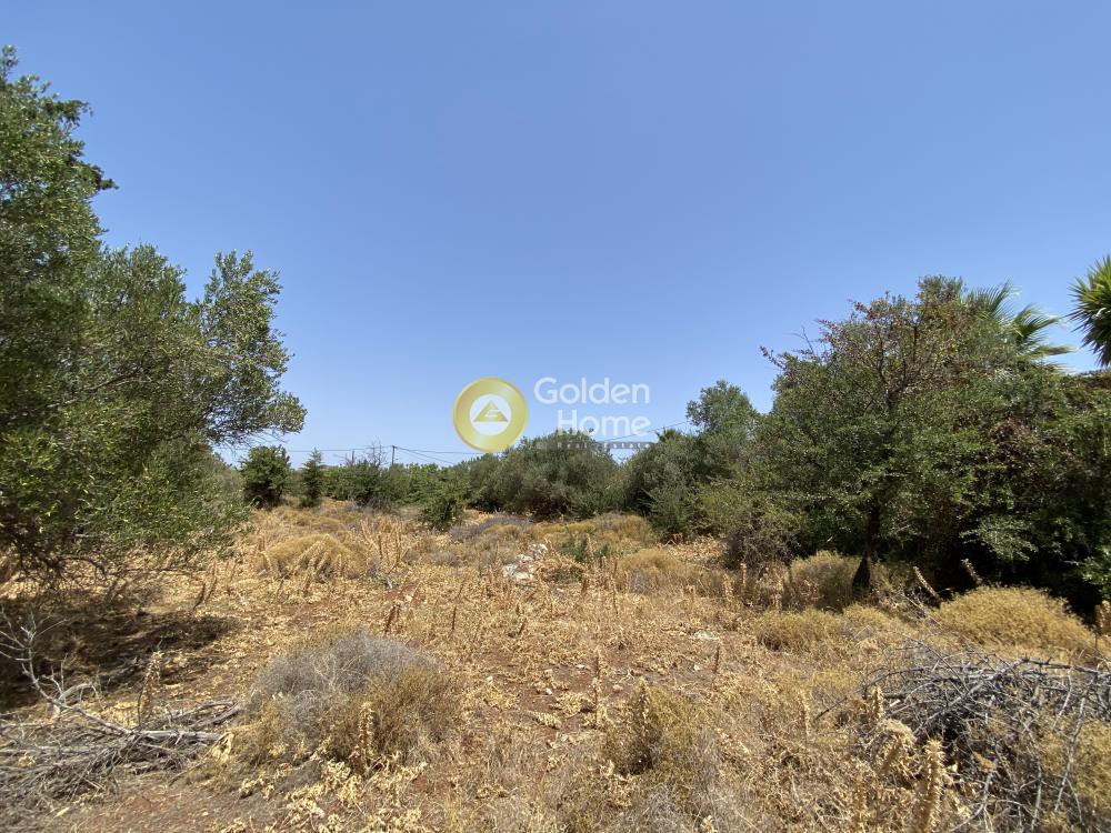 Οικόπεδο 3.587 τ.μ. προς πώληση, Καμπιά Βάμου