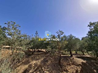 Οικόπεδο 862 τ.μ. για πώληση, Ν. Ρεθύμνου, Ρέθυμνο-thumb-4