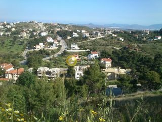 Οικόπεδο 1.000 τ.μ. για πώληση