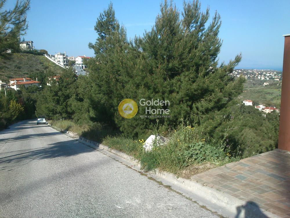 Οικόπεδο 1.000 τ.μ. προς πώληση, Ντράφι