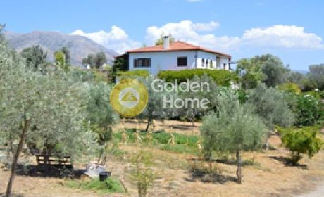 Διαμέρισμα 130τ.μ. για ενοικίαση-Ερέτρια » Μαγούλα
