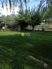 Ξενοδοχείο 360 τ.μ. για πώληση, Ν. Λευκάδας, Λευκάδα-thumb-15