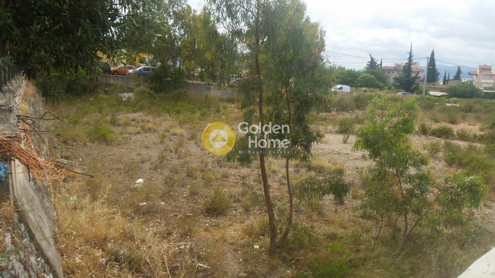 Οικόπεδο 2.850 τ.μ. πρός ενοικίαση, Αθήνα - Βόρεια Προάστια, Λυκόβρυση