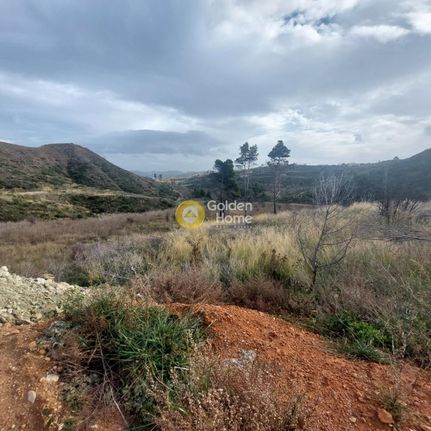 Οικόπεδο 16.305 τ.μ. για πώληση, Αττική - Υπόλοιπο, Ωρωπός