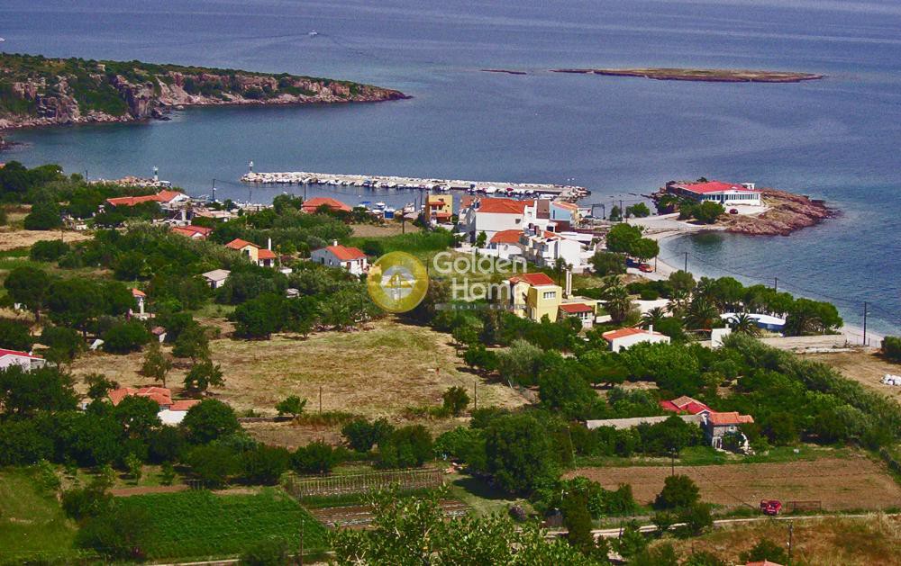 Αγροτεμάχια 4.948 τ.μ. προς πώληση, Ν. Λέσβου, Λέσβος - Λουτρόπολη Θερμής