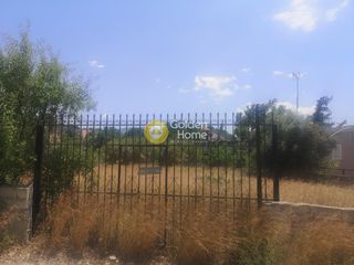 Αγροτεμάχια 1.015 τ.μ. για πώληση