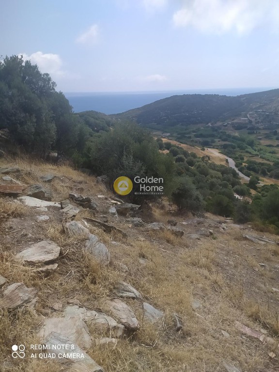 Οικόπεδο 5.200 τ.μ. προς πώληση, Πετριές