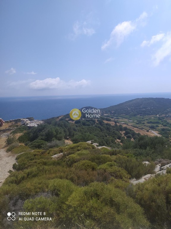 Οικόπεδο 5.200 τ.μ. προς πώληση, Πετριές