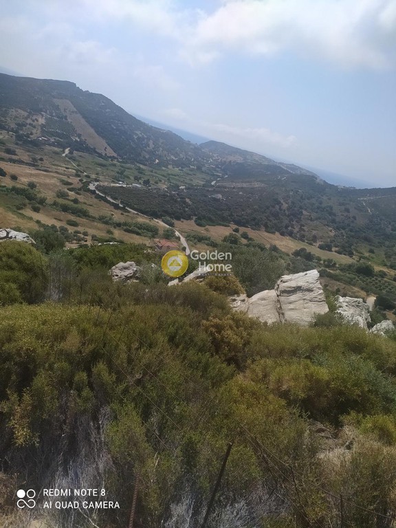 Οικόπεδο 5.200 τ.μ. προς πώληση, Πετριές