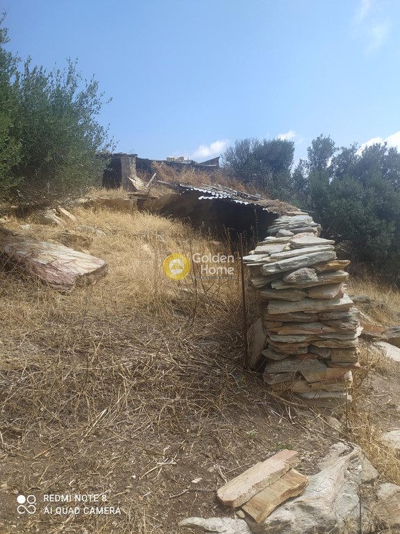 Οικόπεδο 5.200 τ.μ. προς πώληση, Πετριές