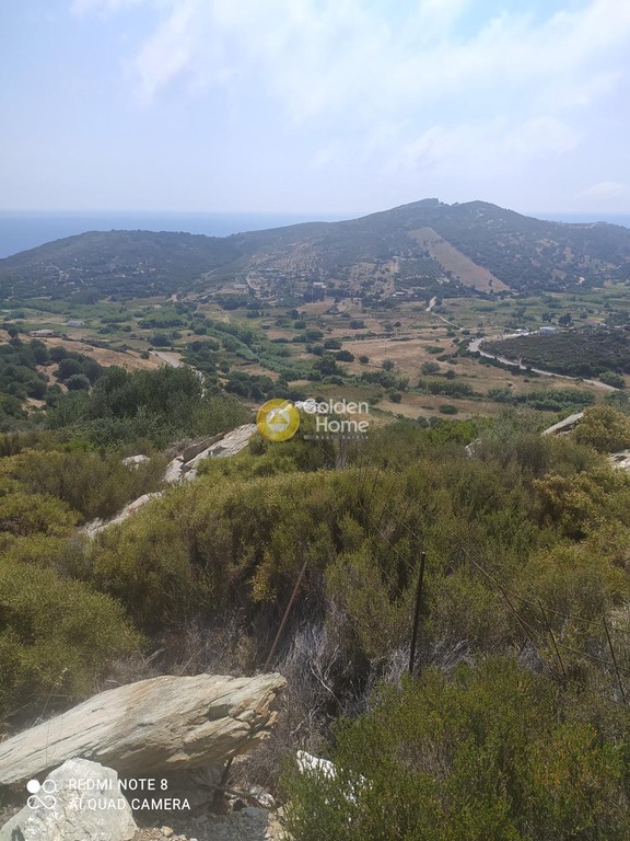 Οικόπεδο 5.200 τ.μ. προς πώληση, Πετριές