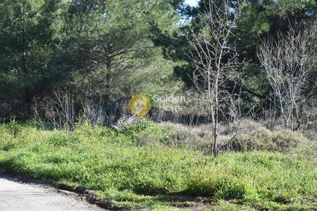 Οικόπεδο 467τ.μ. για πώληση-Νέα ερυθραία » Καστρίτσα