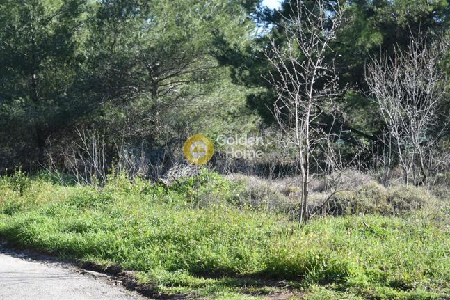 Land plot 467 sqm for sale, Athens - North, Nea Erithraia