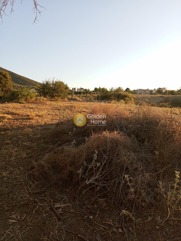 Οικόπεδο 4.000 τ.μ. προς πώληση, Αχαΐα, Μεσσατίδα