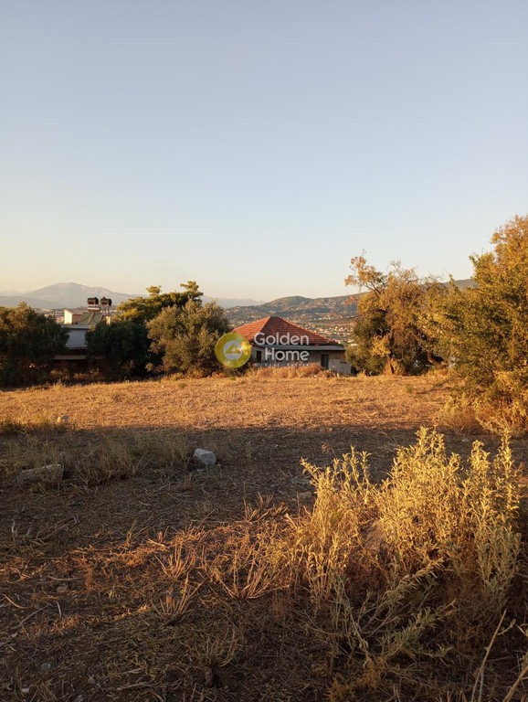 Οικόπεδο 4.000 τ.μ. προς πώληση, Αχαΐα, Μεσσατίδα