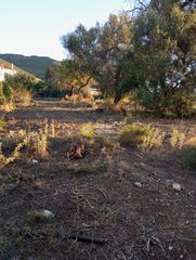 Οικόπεδο 4.000 τ.μ. για πώληση