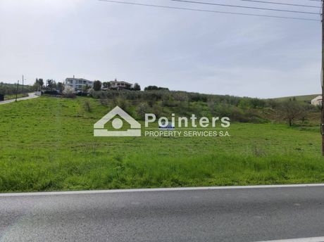Αγροτεμάχια 4.564 τ.μ. για πώληση