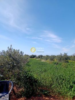 Αγροτεμάχια 3.153τ.μ. για πώληση-Τυμπάκι » Κόκκινος πύργος