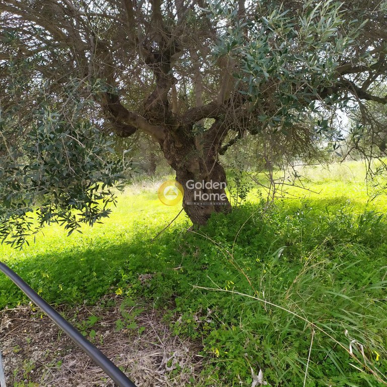 Οικόπεδο 2.076 τ.μ. προς πώληση, Ν. Ηρακλείου, Ηράκλειο Κρήτης