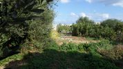 Οικόπεδο 302τ.μ. για πώληση-Γούβες » Αγία πελαγία