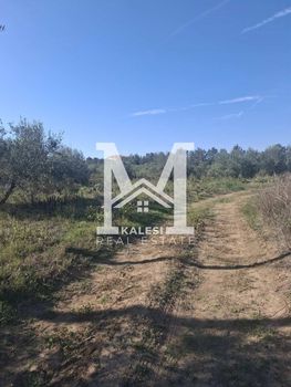 Parcel 7.540sqm for sale-Epanomi » Lefkes