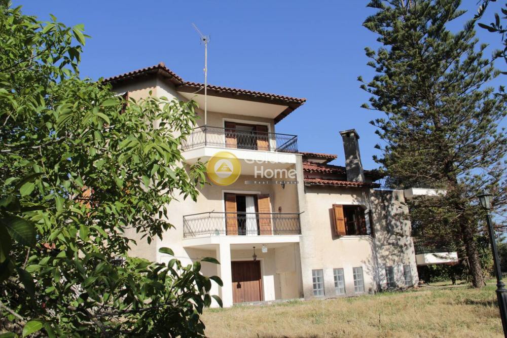 Μονοκατοικία 300 τ.μ. πρός πώληση, Ν. Ηλείας, Αμαλιάδα