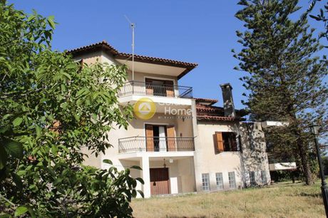 Μονοκατοικία 300τ.μ. για πώληση-Αμαλιάδα » Παναγιά