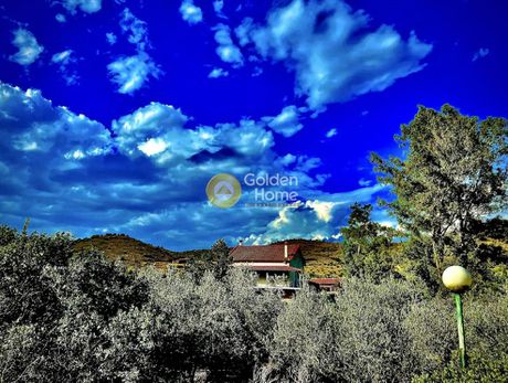 Detached home 350sqm for sale-Nafplio » Lefkakia