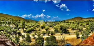 Μονοκατοικία 350 τ.μ. πρός πώληση, Αργολίδα, Ναύπλιο-thumb-5