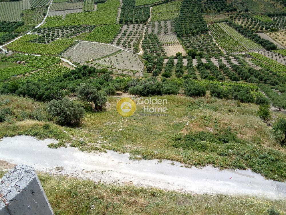 Αγροτεμάχια 600 τ.μ. προς πώληση, Δαφνές Ηρακλείου