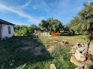 Οικόπεδο 5.800 τ.μ. για πώληση
