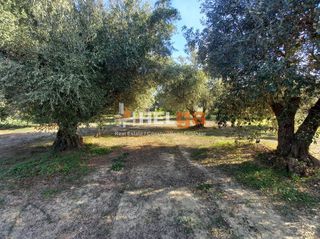 Οικόπεδο 5.800 τ.μ. για πώληση, Αχαΐα, Παραλία-thumb-20