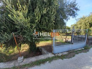 Οικόπεδο 5.800 τ.μ. για πώληση, Αχαΐα, Παραλία-thumb-5