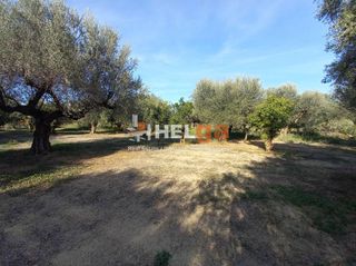 Οικόπεδο 5.800 τ.μ. για πώληση, Αχαΐα, Παραλία-thumb-21