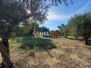 Οικόπεδο 5.800 τ.μ. για πώληση, Αχαΐα, Παραλία-thumb-22