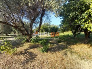 Οικόπεδο 5.800 τ.μ. για πώληση, Αχαΐα, Παραλία-thumb-11