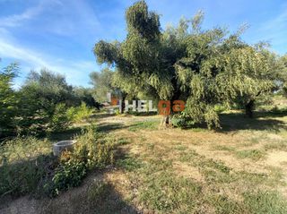 Οικόπεδο 5.800 τ.μ. για πώληση, Αχαΐα, Παραλία-thumb-3