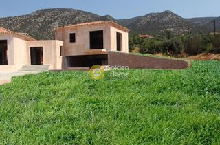 Μονοκατοικία 700 τ.μ. προς πώληση, Άγιος Ιωάννης Κρανιδίου-thumb-9