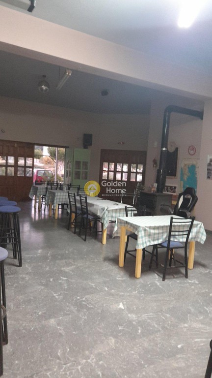 Μονοκατοικία 350 τ.μ. πρός πώληση, Ν. Λασιθίου, Σητεία