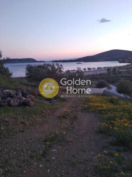 Κτίριο 450 τ.μ. προς πώληση, Αχλαδίτσα