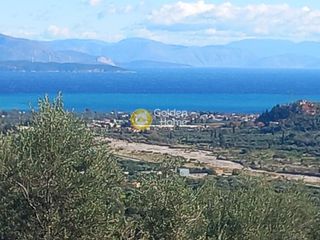 Αγροτεμάχια 8.000 τ.μ. για πώληση