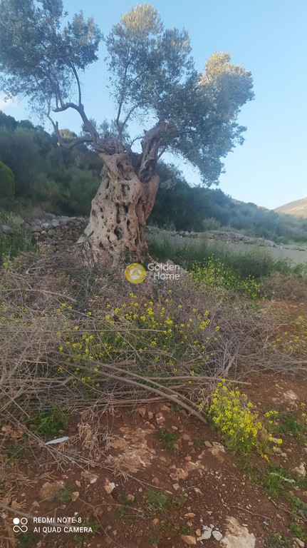 Μονοκατοικία 240 τ.μ. πρός πώληση, Εύβοια, Δύστος