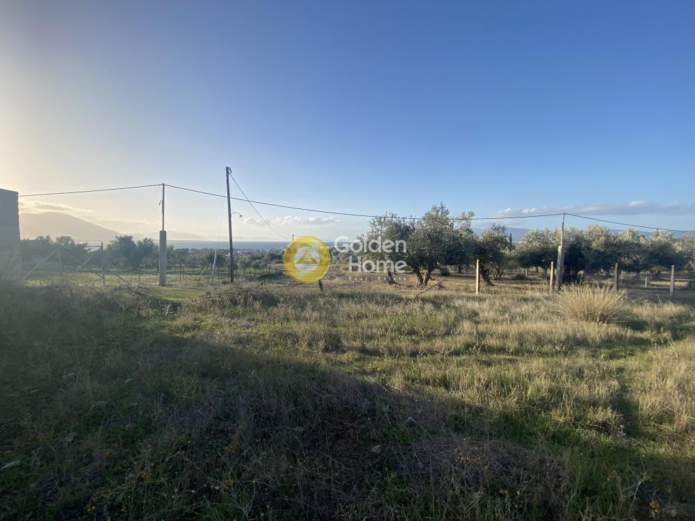 Οικόπεδο 689 τ.μ. προς πώληση, Εύβοια, Νέα Αρτάκη